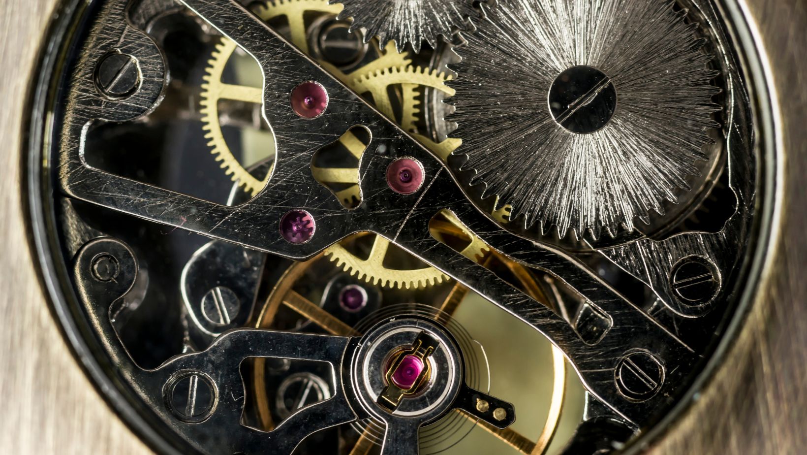 tipología de relojes