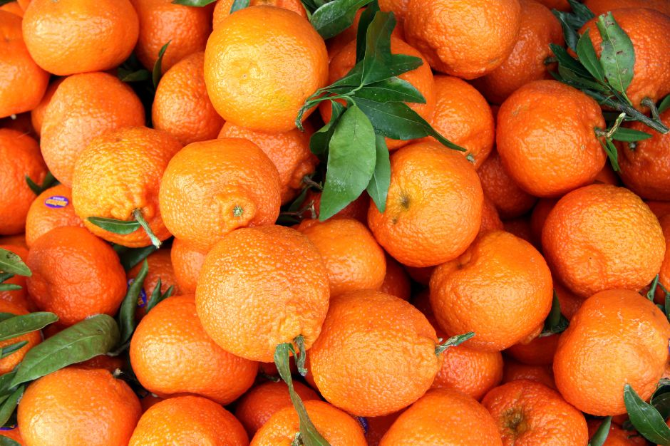 febrero época de mandarinas