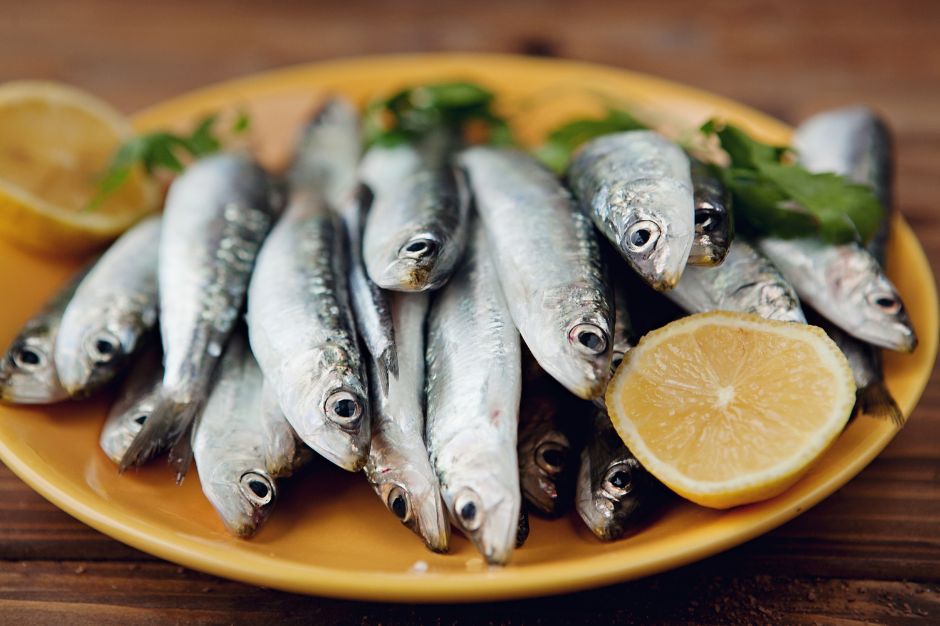 sardinas en carnaval