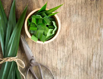 Hojas de pandan